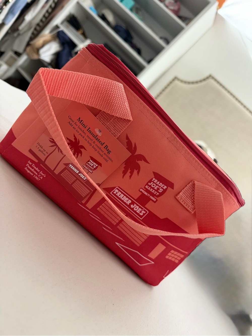 Trader Joe's Mini Insulated Cooler Bag - Coral/Red